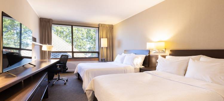 Holiday Inn Express 特木科(Holiday Inn Express TEMUCO by IHG)图片