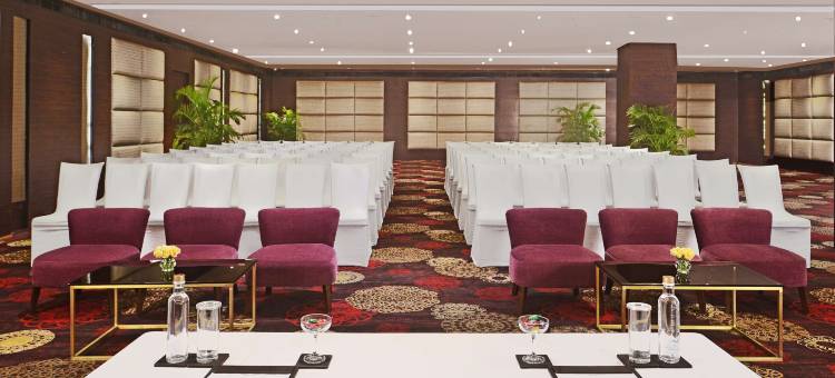 阿格拉丽笙酒店(Radisson Hotel Agra)图片