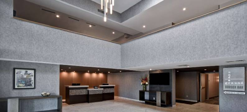 密苏里圣路易斯机场希尔顿逸林酒店(DoubleTree by Hilton St. Louis Airport)图片