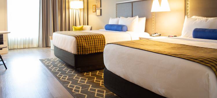 哈蒂斯堡英迪格酒店(Hotel Indigo Hattiesburg)图片