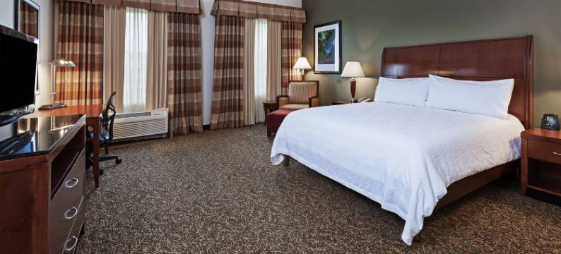 科珀斯克里斯蒂希尔顿花园酒店(Hilton Garden Inn Corpus Christi)图片