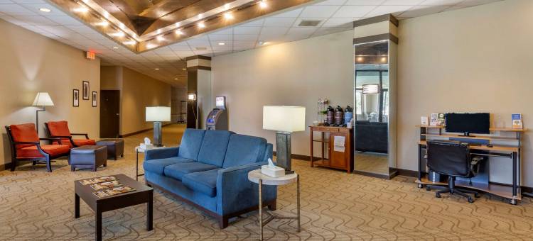 舒适酒店(Comfort Inn)图片