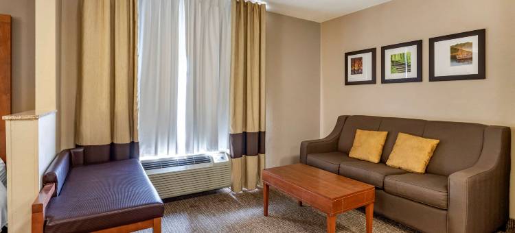 科拉尔维尔I-80舒适套房酒店(Comfort Suites Coralville I-80)图片