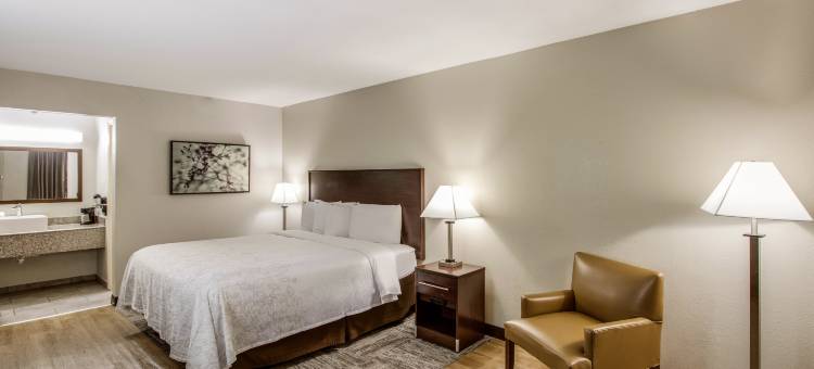 达拉斯艾迪生红顶套房酒店(Red Roof PLUS+ Dallas - Addison)图片