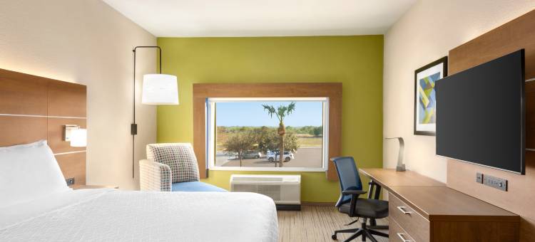 智选假日套房酒店任务麦卡伦地区(Holiday Inn Express & Suites Mission-Mcallen Area)图片