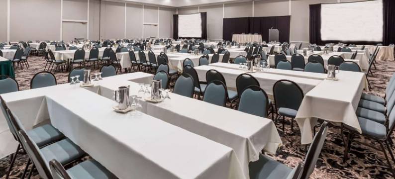 休斯顿瑞利昂特医疗中心温德姆酒店(Wyndham Houston Near NRG Park/Medical Center)图片