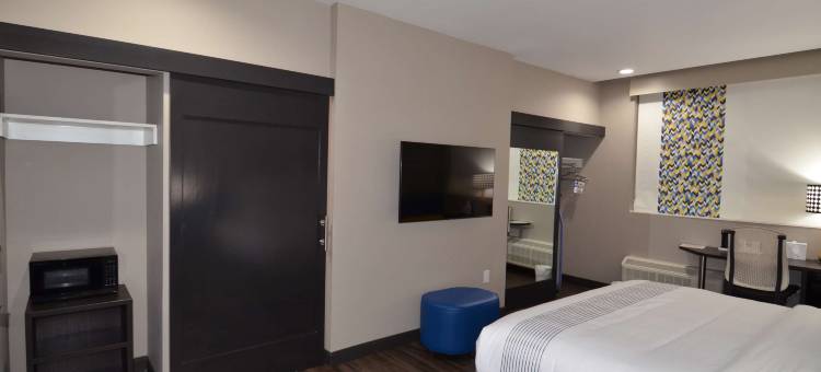 格洛贝斯特韦斯特伊尼德市中心会议中心酒店(GLō Best Western Enid OK Downtown/Convention Center Hotel)图片