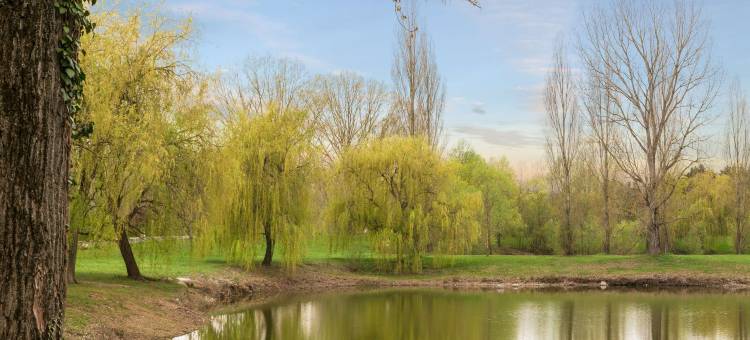 圣艾蒂安艾克图机场原生酒店(The Originals Boutique, Actuel Hôtel, Saint-Etienne Aéroport)图片