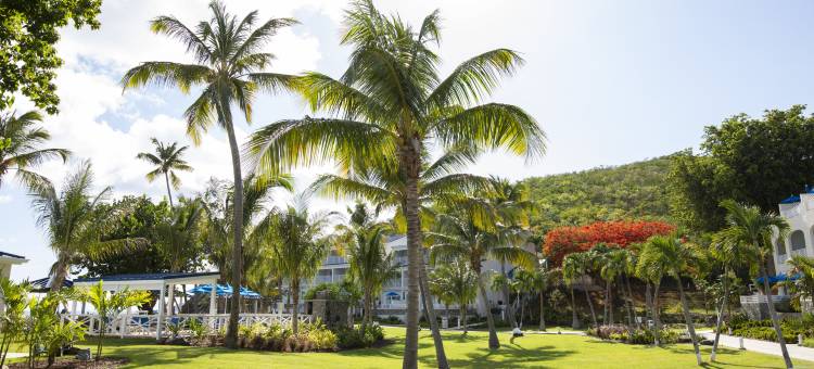 柠檬树海滩度假村 - 温德姆俱乐部酒店(Limetree Beach Resort by Club Wyndham)图片