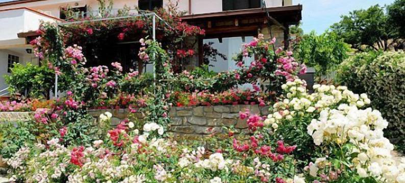 瓦伦蒂娜花园旅馆(Il Giardino di Valentina)图片