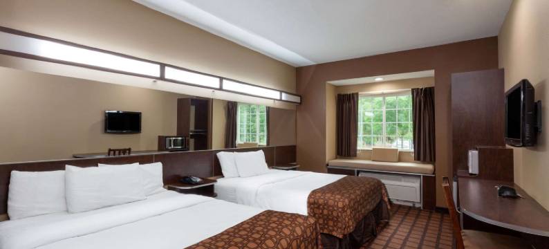 哥伦比亚-杰克逊堡麦客达套房酒店(Microtel Inn & Suites by Wyndham Columbia/at Fort Jackson)图片