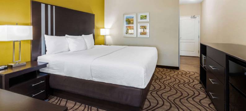 阿蒂西亚拉昆塔温德姆套房酒店(La Quinta Inn & Suites by Wyndham Artesia)图片