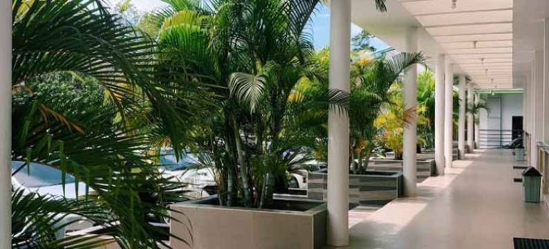 太阳城酒店(BOS Hotel Sungailiat)图片