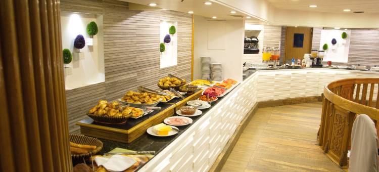 总统酒店(Hotel Presidente)图片