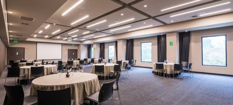 拉斯洛马斯莫维奇酒店(Movich Hotel Las Lomas)图片