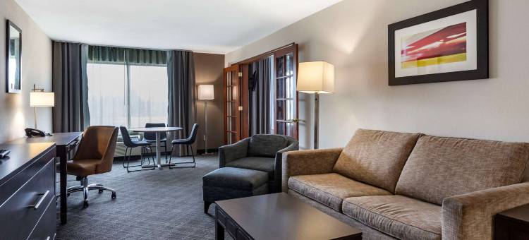 舒适套房酒店大布兰克/弗林特(Comfort Inn & Suites Grand Blanc-Flint)图片