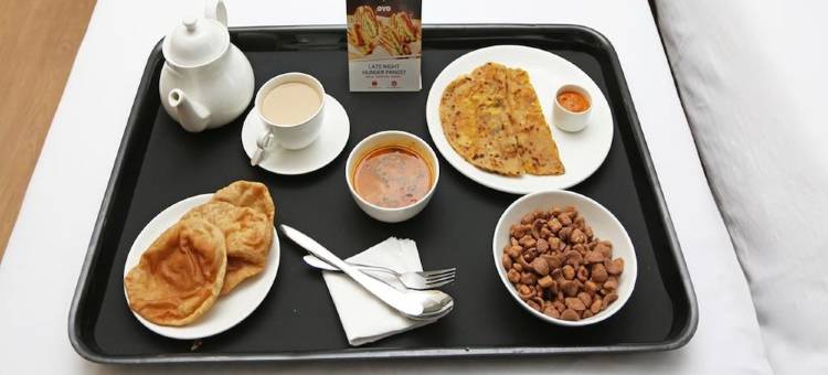 OYO 4283 萨特古鲁酒店(OYO 4283 Hotel Satguru)图片