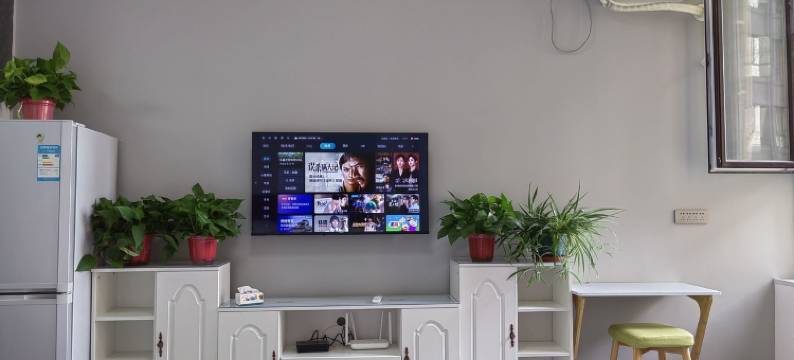 绿葡萄公寓(金河路分店)图片