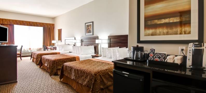 洪堡卡纳尔塔酒店(Canalta Hotel Humboldt)图片