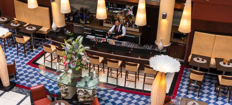 德累斯顿德萨克斯施柏阁酒店(Steigenberger Hotel de Saxe)图片