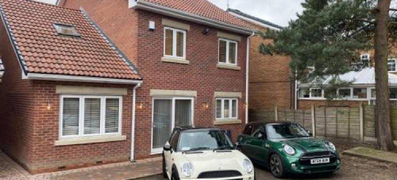 洛蒂的洛特(Lotties Lott)图片