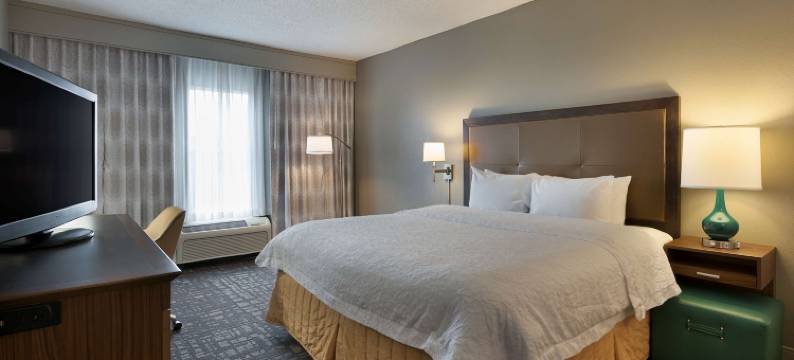 希尔顿欢朋套房酒店-夏洛特/派恩维尔(Hampton Inn & Suites Charlotte/Pineville)图片