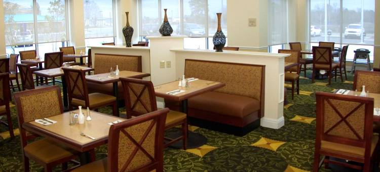 杰克逊明珠希尔顿花园酒店(Hilton Garden Inn Jackson Pearl)图片