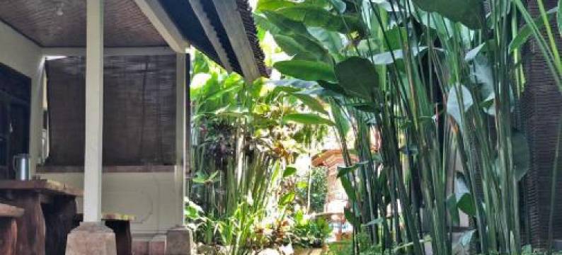 尤玛贝罗斯民宿(Umah Belos)图片