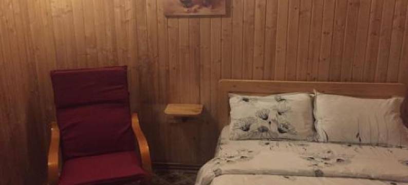 卡巴那安库特伊旅馆(Cabana Ancutei)图片