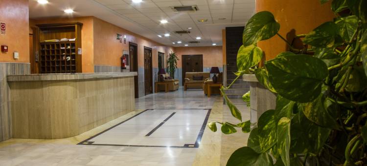 阿尔穆涅卡托沃索酒店(Hotel Toboso Almuñécar)图片