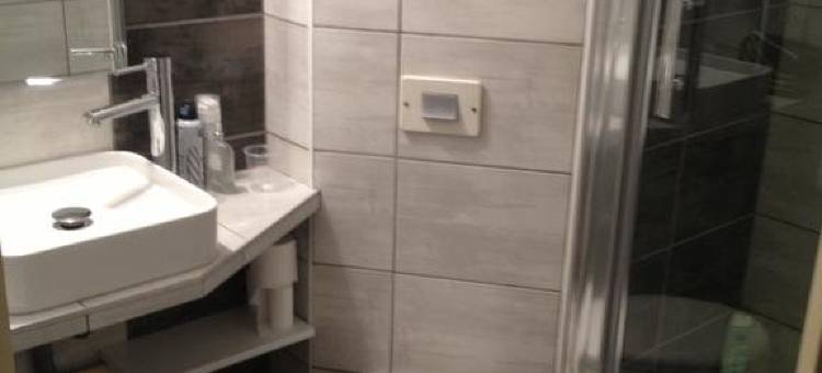 勒克洛德塔讷尔伊泽尔河畔罗芒酒店(Hôtel Restaurant le Clos des Tanneurs Romans Sur Isère)图片