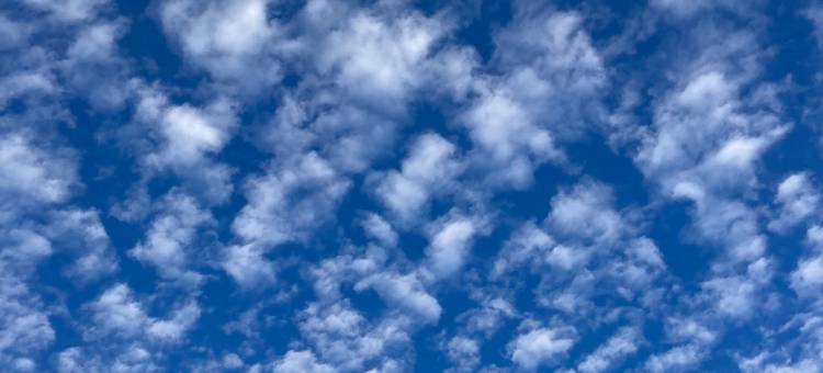 Accommodation limited to one group图片