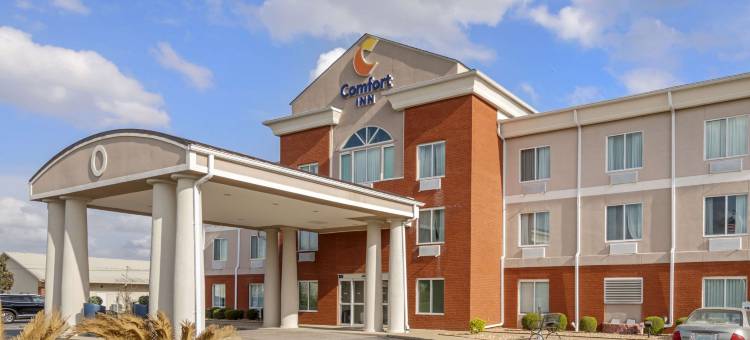 美国80号高速公路舒适酒店(Comfort Inn US Hwy 80)图片