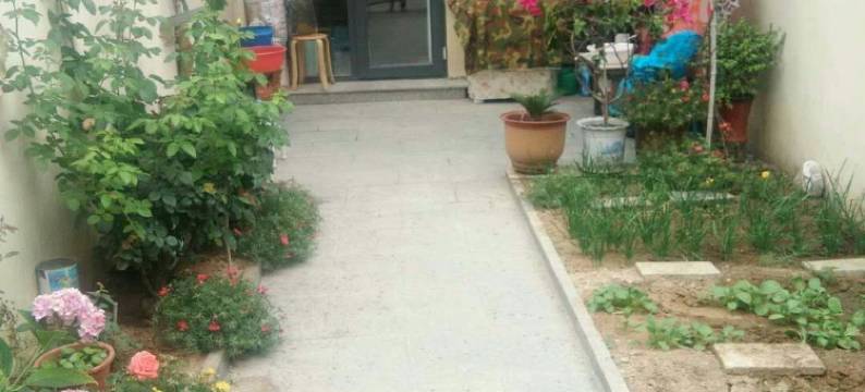 zjn淡雅公寓(海市路分店)图片