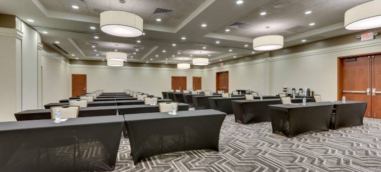 德鲁里套房酒店-环球奥兰多度假村(Drury Inn & Suites Orlando Near Universal Orlando Resort)图片