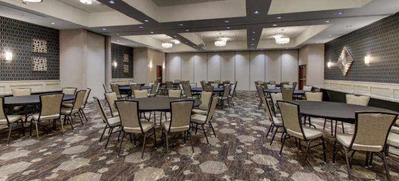 达拉斯理查森德鲁里广场酒店(Drury Plaza Hotel Dallas Richardson)图片