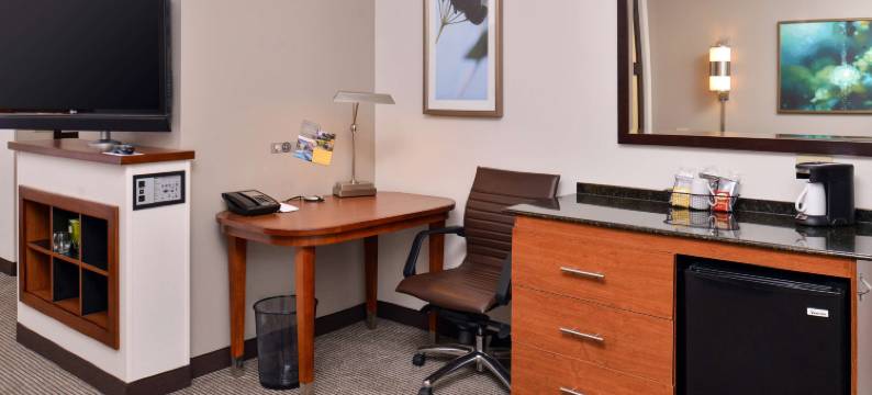 加登城凯悦嘉轩酒店(Hyatt Place Garden City)图片