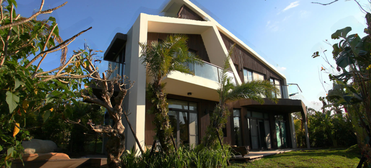 屏东白砂15图片