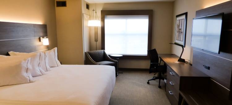 普利茅斯安娜堡区智选假日套房酒店(Holiday Inn Express & Suites Plymouth - Ann Arbor Area)图片