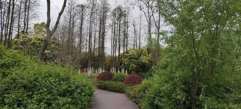 快乐旋律公寓(新堂北路分店)图片