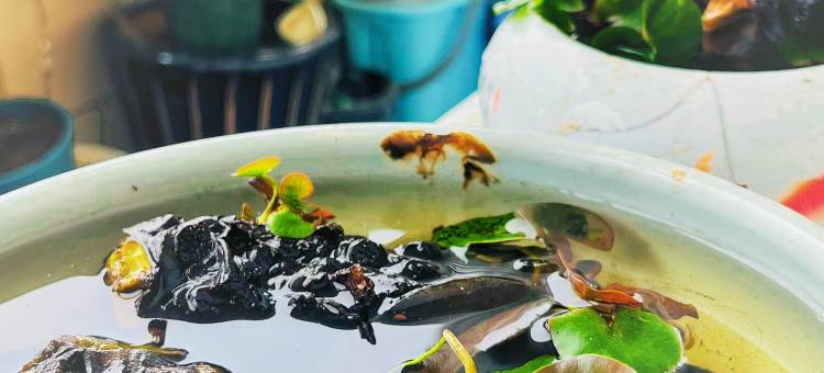 平潭山海时光公寓图片