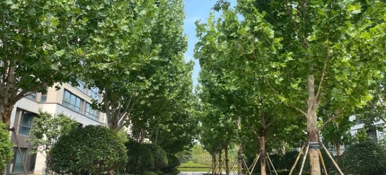 海豚美宿公寓(大洋一路二支路分店)图片