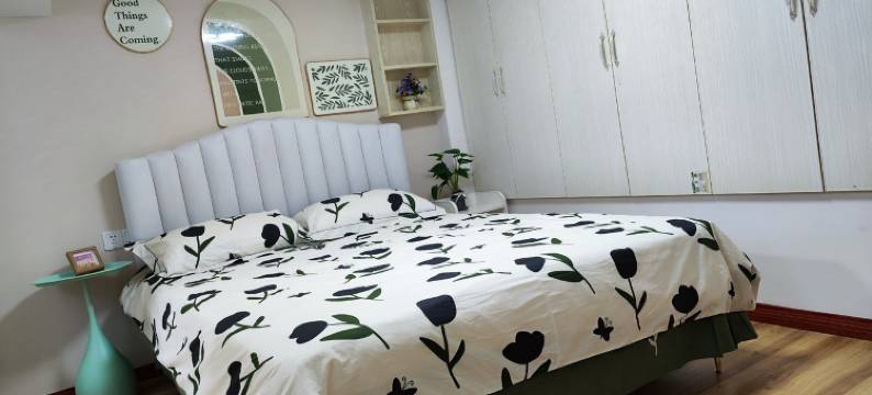 仙人长不胖公寓(黄陂大道1号分店)图片