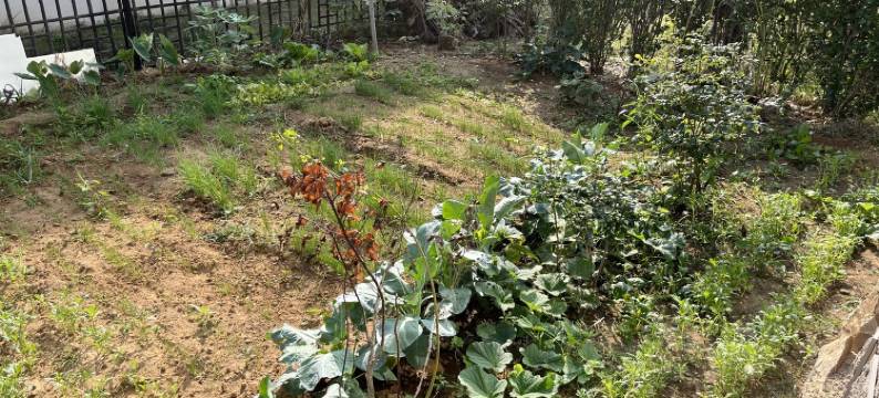 送酒瓶子度假别墅(海埠路分店)图片