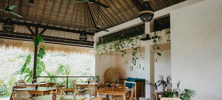 波特酒店-冲浪与瑜伽静修(Porter Hotel - Surf & Yoga Retreat)图片