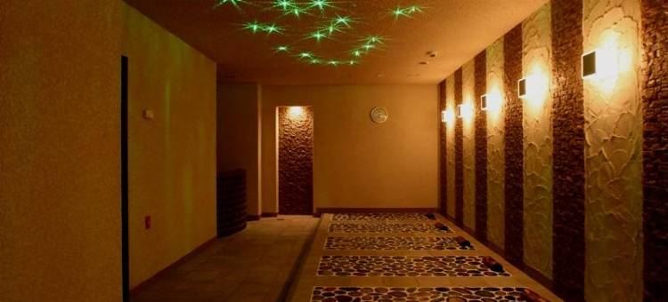 奈托水疗之地酒店(Spa Land Hotel Naito)图片