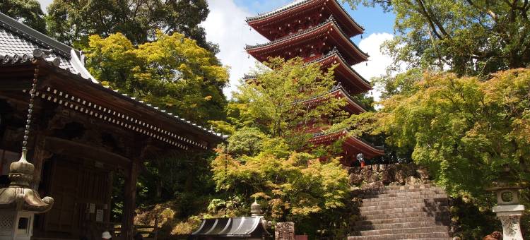 高知皇宫酒店(Kochi Palace Hotel)图片