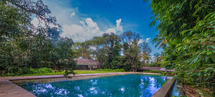 果园度假村(The Orchard Resort)图片