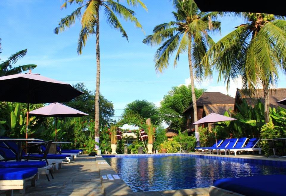 Turtle Beach Hotel Hotel Overview