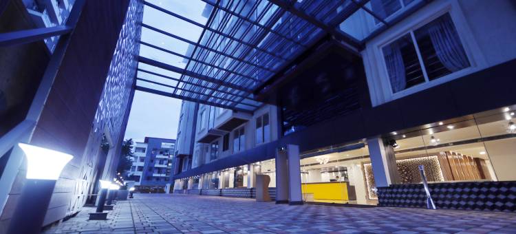 阿尔特鲁伊斯特商务酒店，怀特菲尔德(The Altruist Business Hotel Whitefield)图片